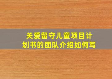 关爱留守儿童项目计划书的团队介绍如何写