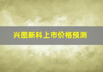 兴图新科上市价格预测