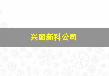 兴图新科公司