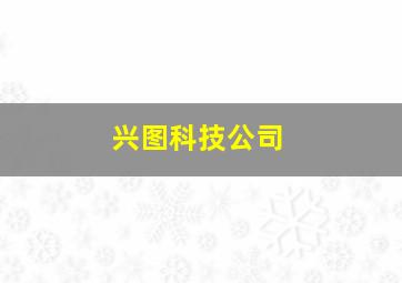 兴图科技公司