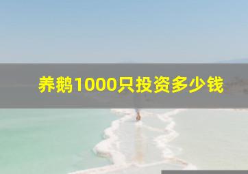 养鹅1000只投资多少钱