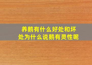 养鹅有什么好处和坏处为什么说鹅有灵性呢