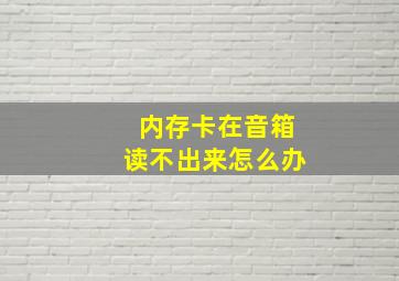 内存卡在音箱读不出来怎么办