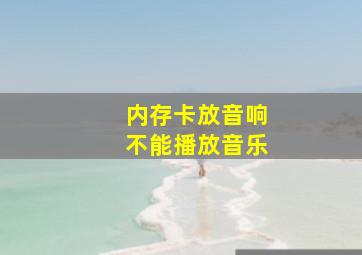 内存卡放音响不能播放音乐