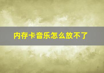 内存卡音乐怎么放不了