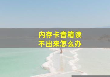 内存卡音箱读不出来怎么办