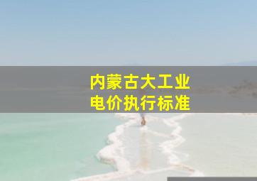 内蒙古大工业电价执行标准