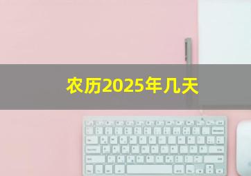 农历2025年几天