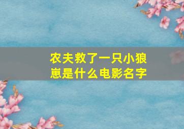 农夫救了一只小狼崽是什么电影名字