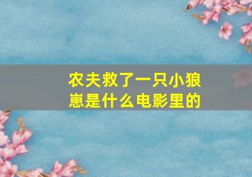 农夫救了一只小狼崽是什么电影里的