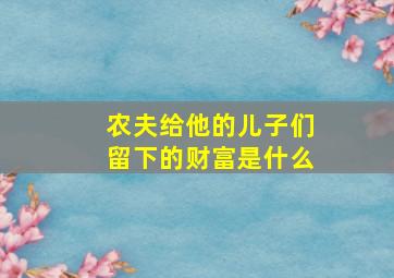 农夫给他的儿子们留下的财富是什么