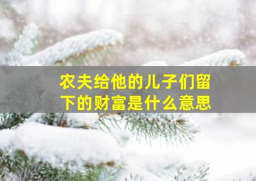 农夫给他的儿子们留下的财富是什么意思