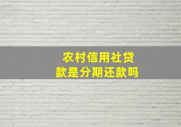 农村信用社贷款是分期还款吗