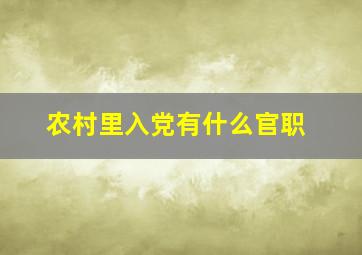 农村里入党有什么官职