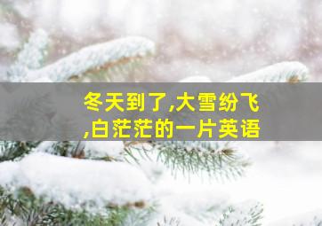 冬天到了,大雪纷飞,白茫茫的一片英语