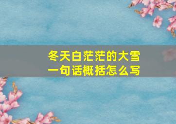 冬天白茫茫的大雪一句话概括怎么写