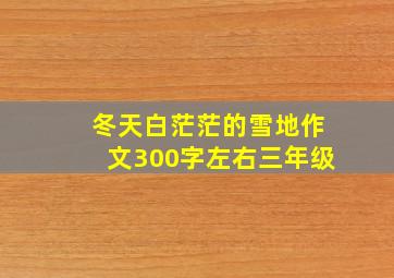 冬天白茫茫的雪地作文300字左右三年级