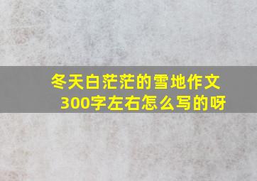 冬天白茫茫的雪地作文300字左右怎么写的呀