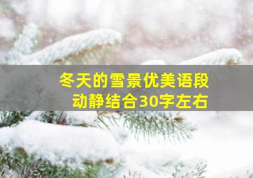 冬天的雪景优美语段动静结合30字左右