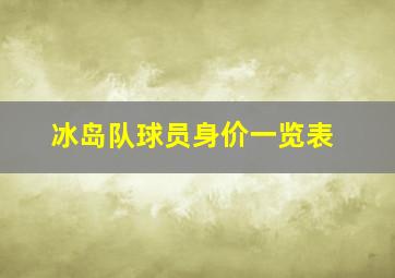 冰岛队球员身价一览表