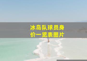 冰岛队球员身价一览表图片