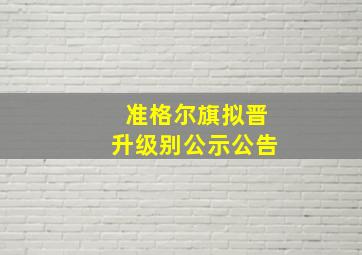 准格尔旗拟晋升级别公示公告