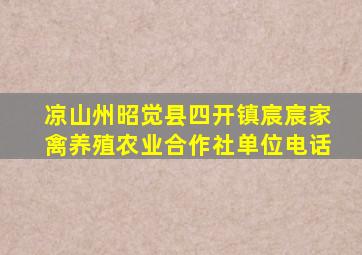 凉山州昭觉县四开镇宸宸家禽养殖农业合作社单位电话