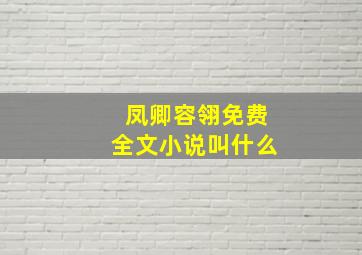 凤卿容翎免费全文小说叫什么