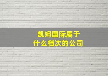 凯姆国际属于什么档次的公司