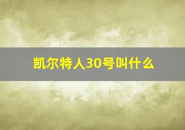 凯尔特人30号叫什么