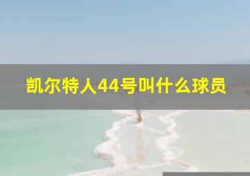 凯尔特人44号叫什么球员