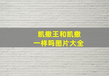 凯撒王和凯撒一样吗图片大全