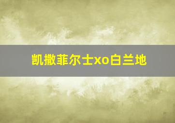 凯撒菲尔士xo白兰地