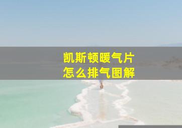 凯斯顿暖气片怎么排气图解