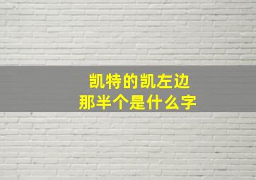 凯特的凯左边那半个是什么字