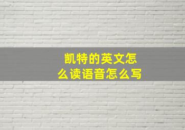 凯特的英文怎么读语音怎么写