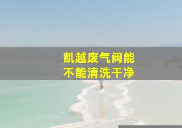 凯越废气阀能不能清洗干净