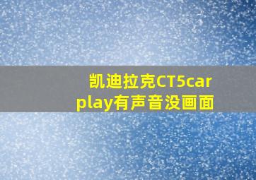 凯迪拉克CT5carplay有声音没画面