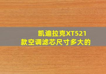 凯迪拉克XT521款空调滤芯尺寸多大的