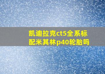 凯迪拉克ct5全系标配米其林p40轮胎吗