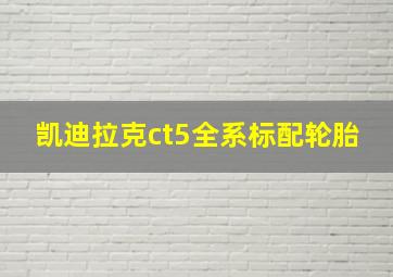 凯迪拉克ct5全系标配轮胎