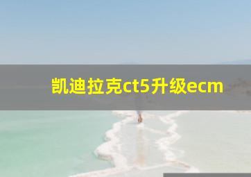 凯迪拉克ct5升级ecm