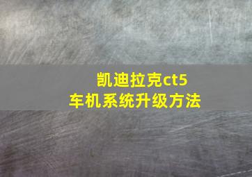 凯迪拉克ct5车机系统升级方法