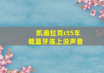 凯迪拉克ct5车载蓝牙连上没声音