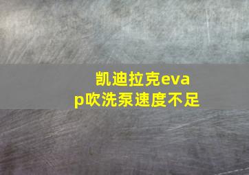 凯迪拉克evap吹洗泵速度不足