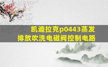 凯迪拉克p0443蒸发排放吹洗电磁阀控制电路