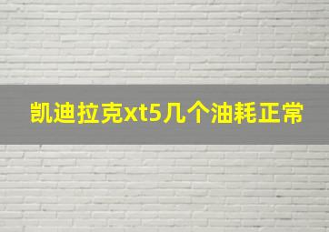 凯迪拉克xt5几个油耗正常