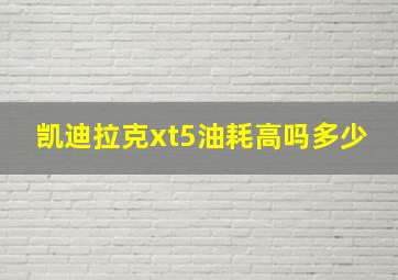 凯迪拉克xt5油耗高吗多少