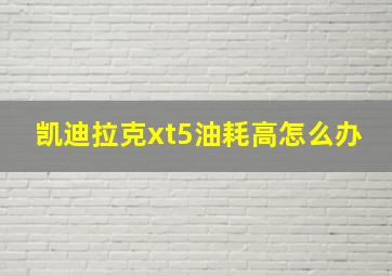 凯迪拉克xt5油耗高怎么办