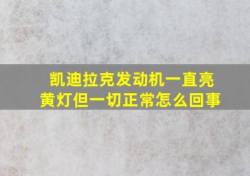 凯迪拉克发动机一直亮黄灯但一切正常怎么回事